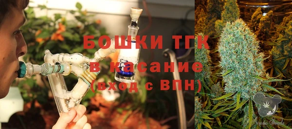 ПСИЛОЦИБИНОВЫЕ ГРИБЫ Медвежьегорск